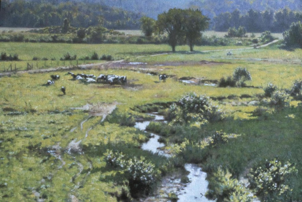 Untitled (Contemporary Realism) by Contemporary Realism Studio (Demo)