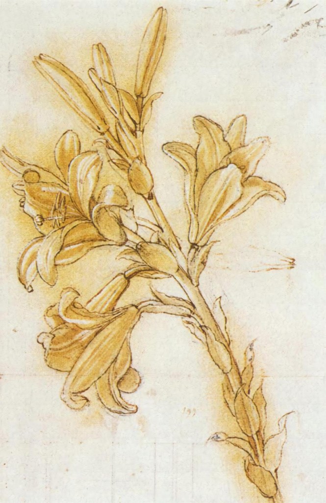 Untitled (Early Renaissance) by Early Renaissance Studio (Demo)