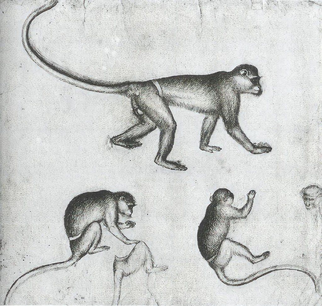 Untitled (Early Renaissance) by Early Renaissance Studio (Demo)