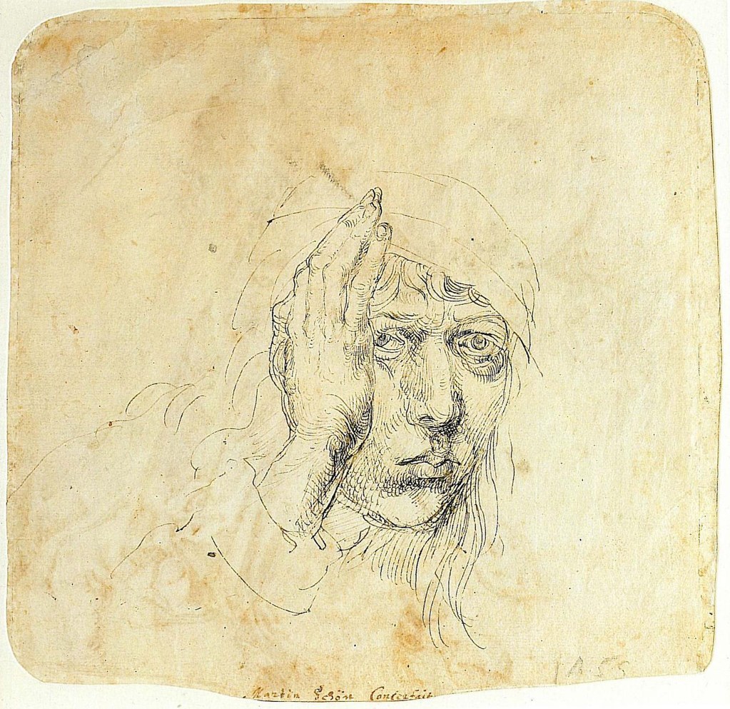 Untitled (Northern Renaissance) by Northern Renaissance Studio (Demo)
