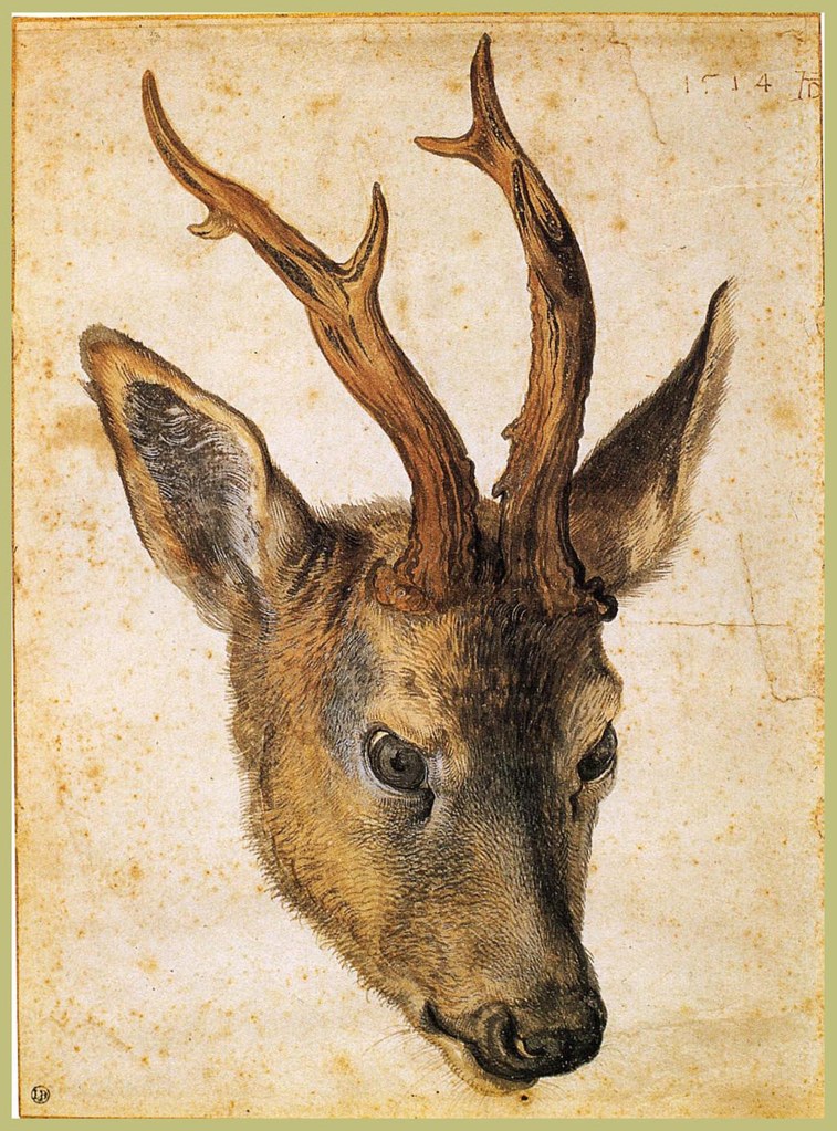Untitled (Northern Renaissance) by Northern Renaissance Studio (Demo)