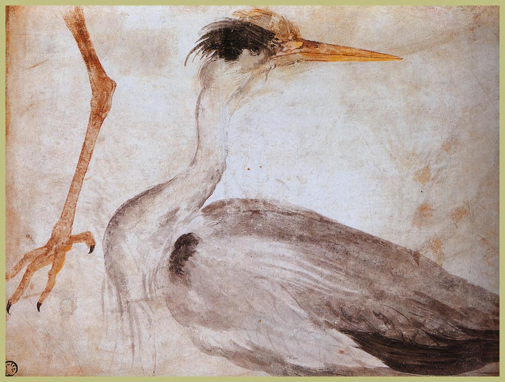 Untitled (Northern Renaissance) by Northern Renaissance Studio (Demo)