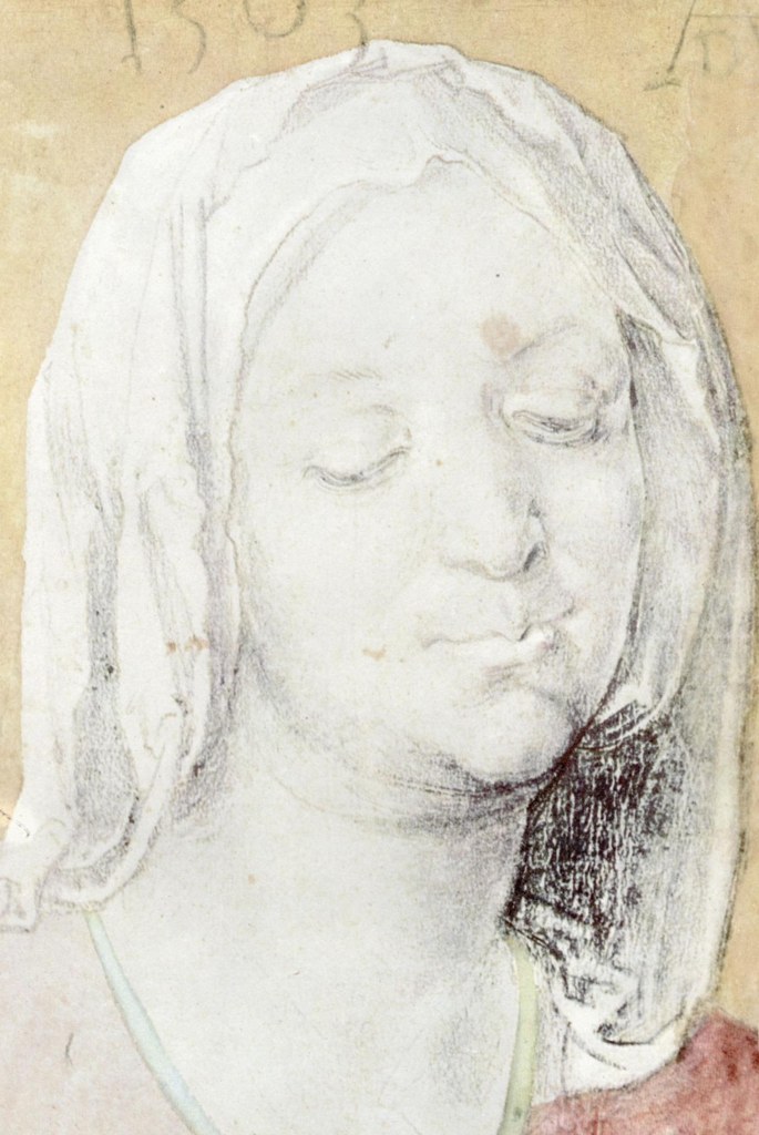Untitled (Northern Renaissance) by Northern Renaissance Studio (Demo)