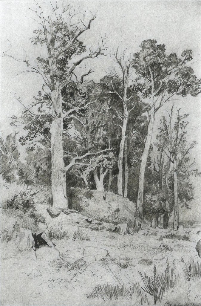 Untitled (Realism) by Realism Studio (Demo)